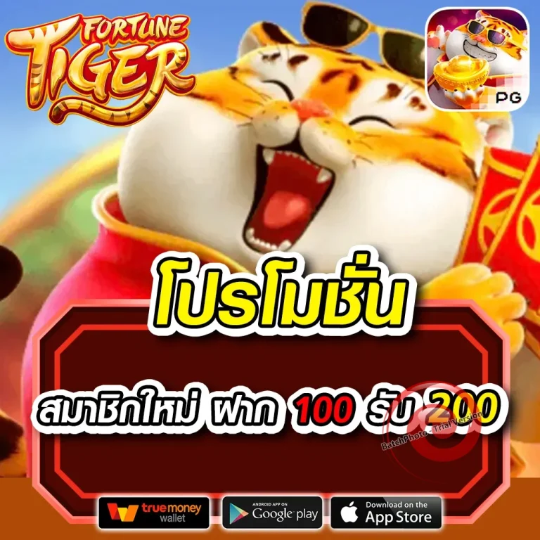 1billclub88 ทางเข้า